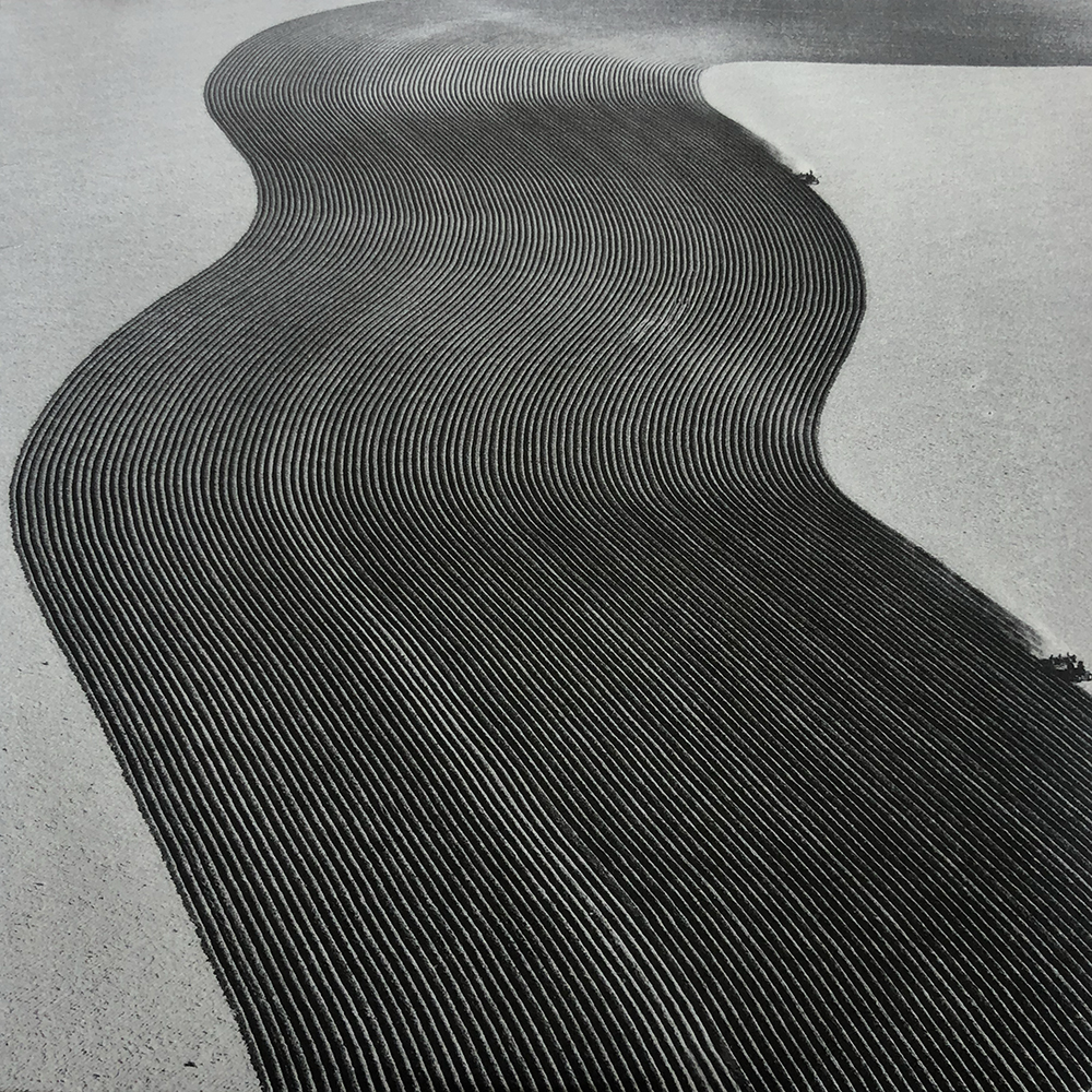 Margaret Bourke-White