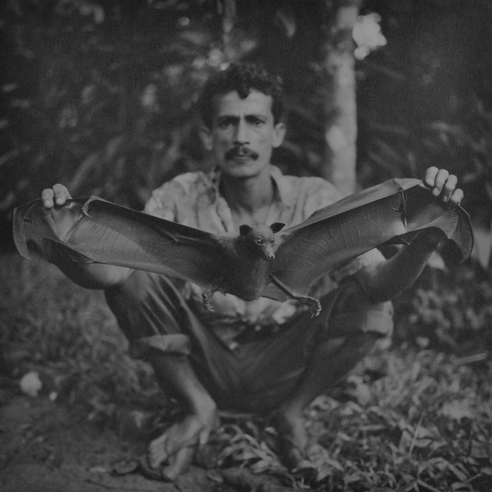 António Júlio Duarte